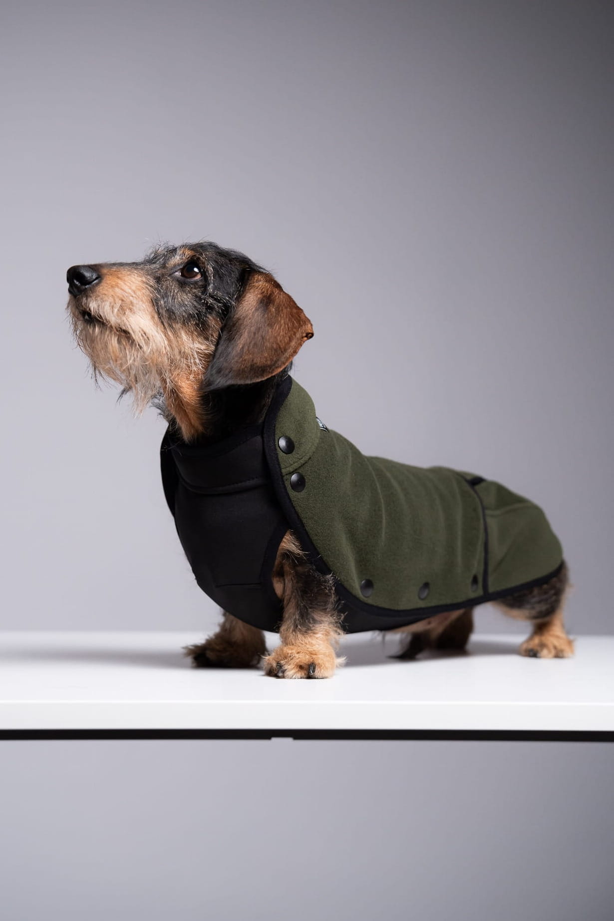 Zapinana bluza z wodoodpornym brzuchem dla Jamnika | Polar Pro, Khaki