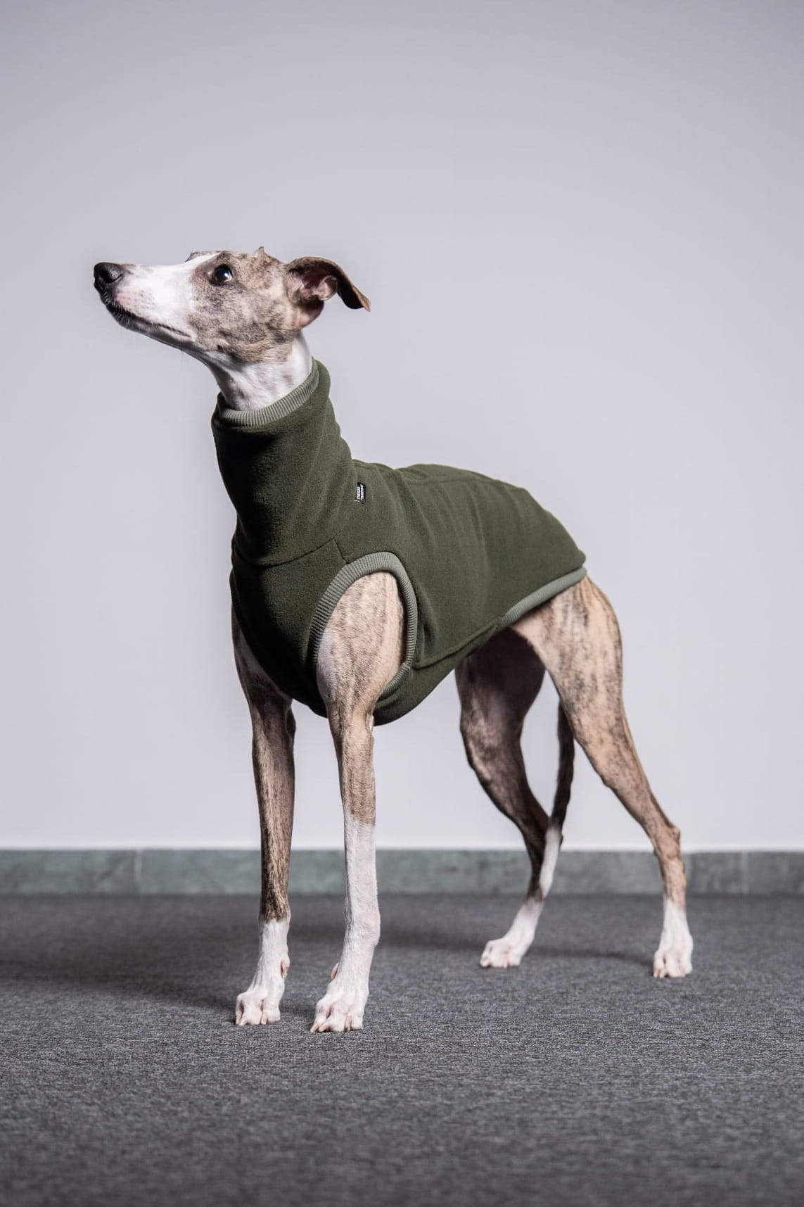 Polarowa bluza dla whippeta – khaki