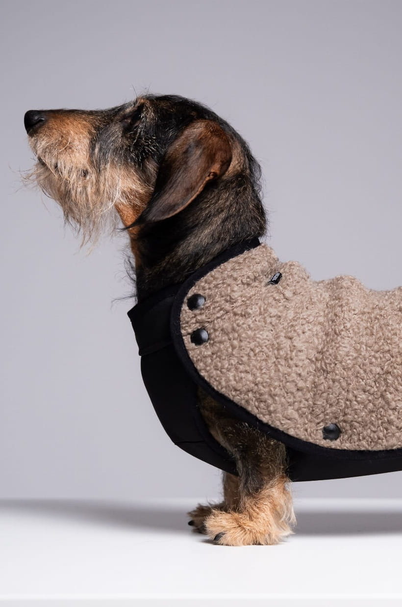 Zapinana bluza z wodoodpornym brzuchem dla Jamnika | 75% wełny, Beż